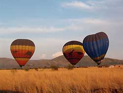 pilanesberg just after dawn - 3 balloons taking off at the same time